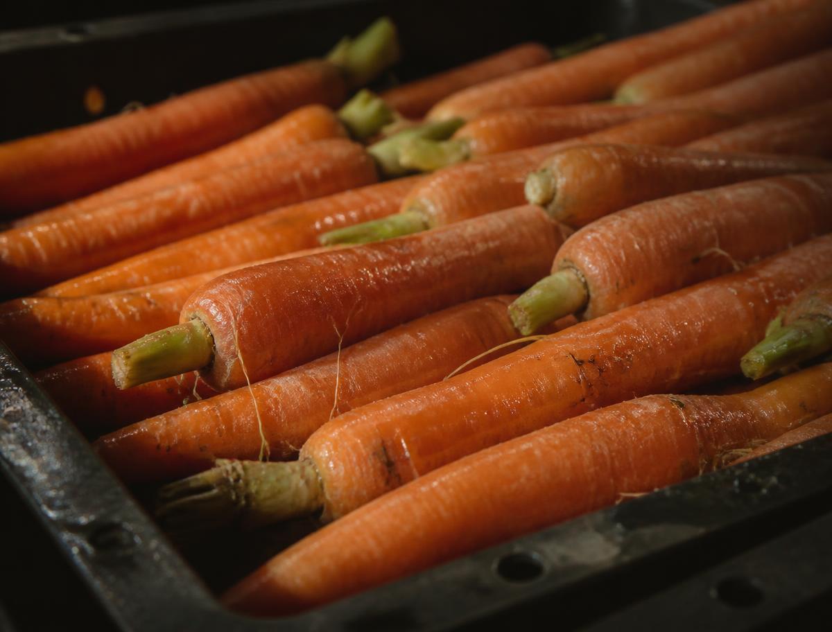 Carrot
