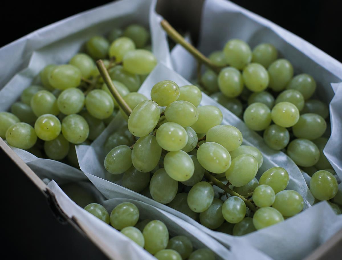 Fresh Grapes