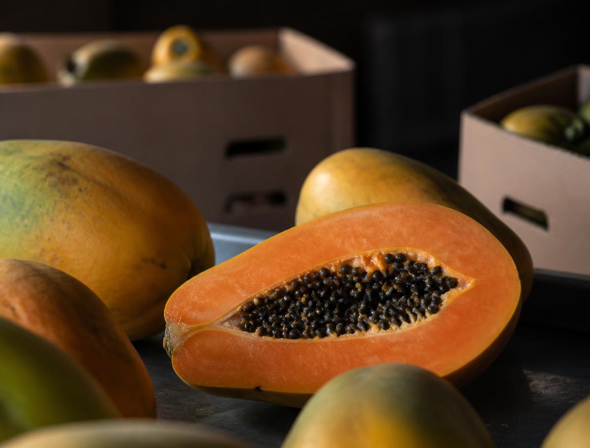 Papaya
